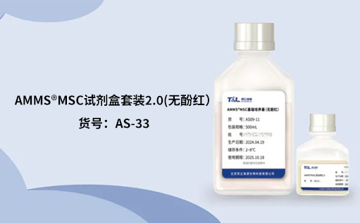人间充质干细胞培养：挑战与应对之策