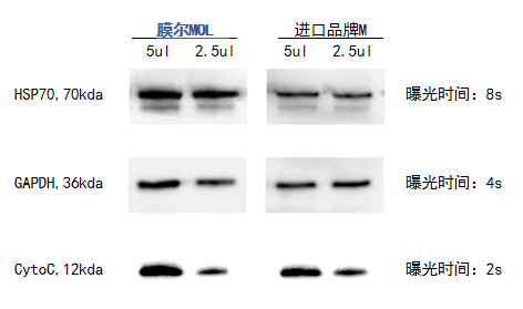 ag尊龙z6mg产品推荐：膜尔新材0.45μmPVDF膜—实验数据