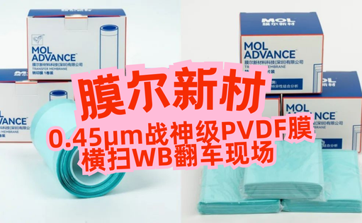 “膜”力加倍！膜尔新材战神级PVDF膜横扫WB翻车现场—0.45μm精准孔径狙杀各类蛋白，背景纯净如冰川