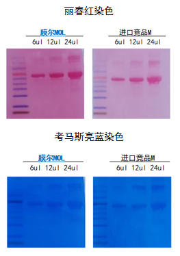 ag尊龙z6mg产品推荐：膜尔新材0.45μmPVDF膜—实验数据
